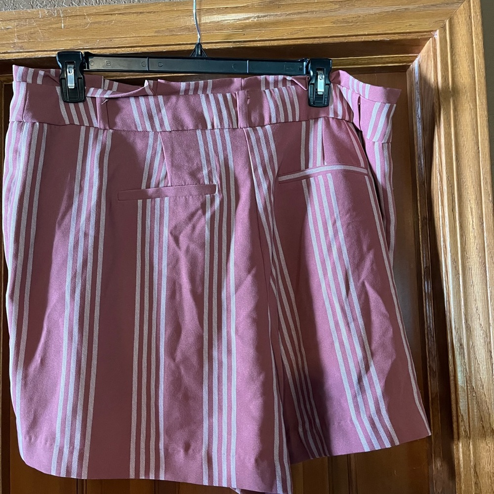 Torrid striped shorts - Picture 2 of 6